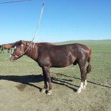 Схема вышивки «Otgoo»