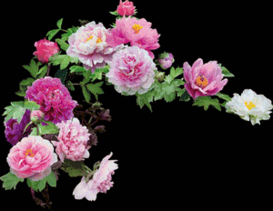 серия "цветы" - цветы - предпросмотр