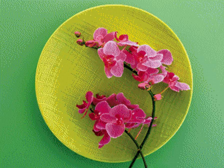 №899977 - предпросмотр