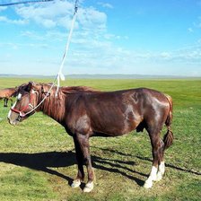 Схема вышивки «Otgoo»