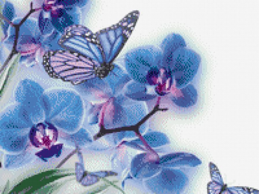 Голубые архидеи - цветы, архидеи, бабочки - предпросмотр