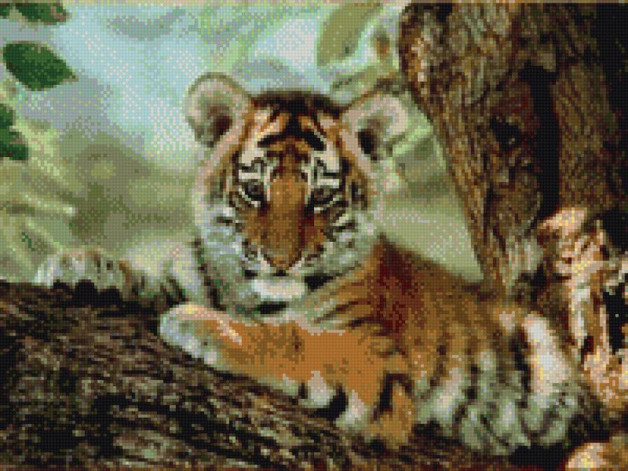 Тигрёнок - предпросмотр