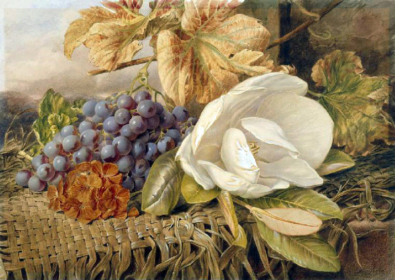 №900699 - цветы - оригинал