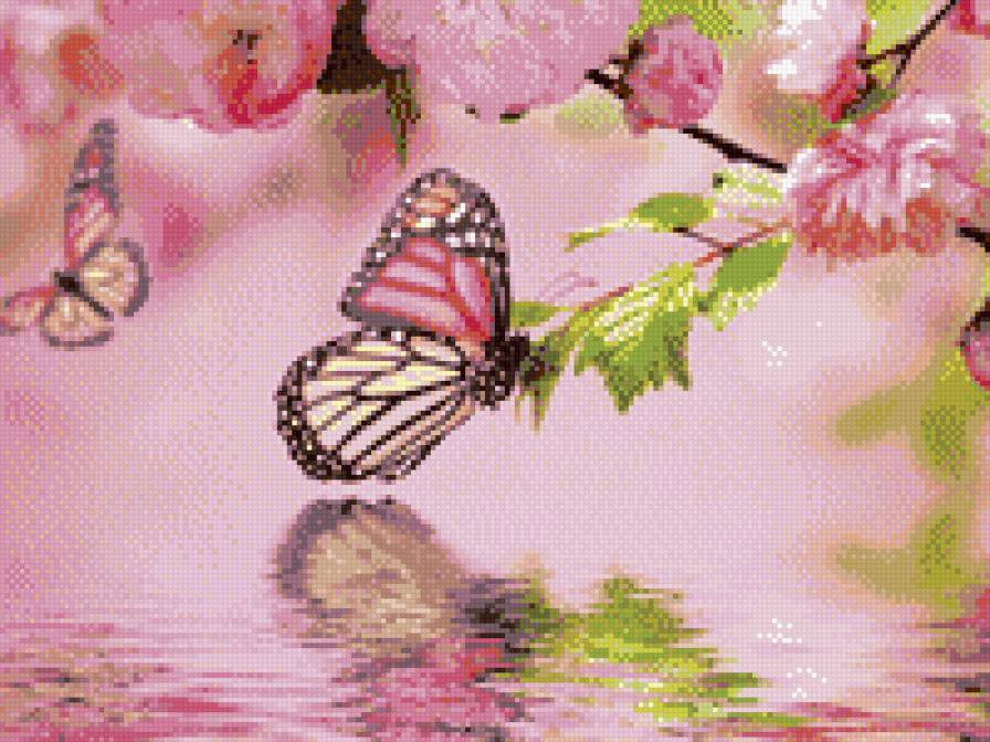 Бабочки - цветы, бабочки - предпросмотр
