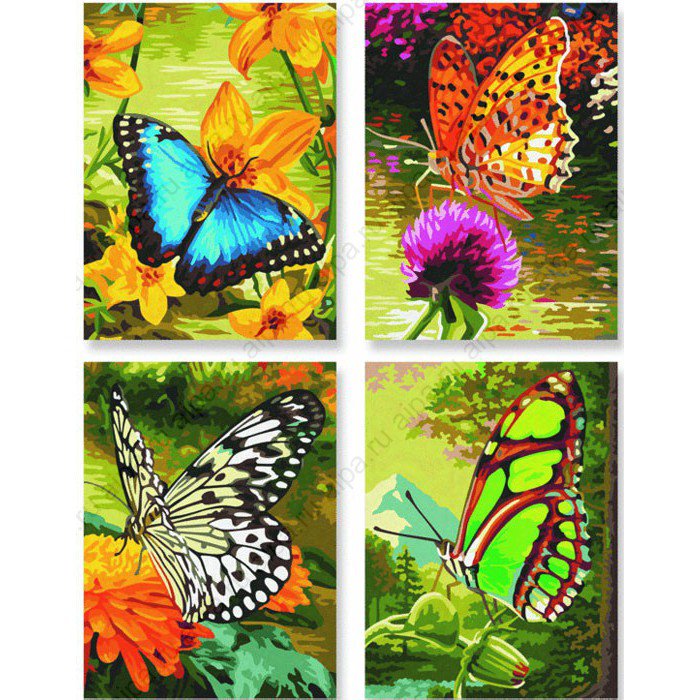 бабочка - бабочка, цветы - оригинал