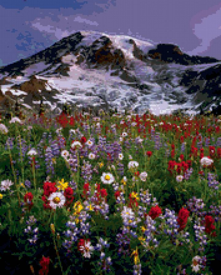 горный пейзаж - луг, цветы, пейзаж, горы - предпросмотр