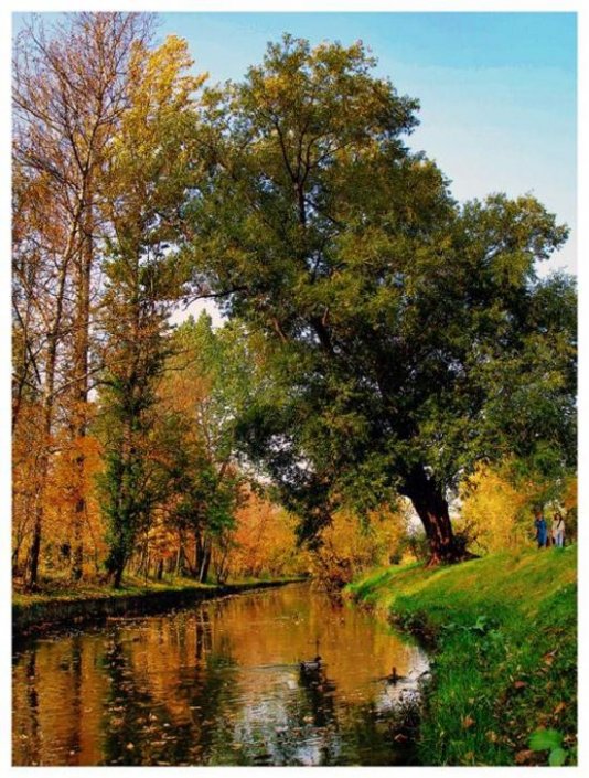осенний мотив - река, природа, осень, пейзаж - оригинал