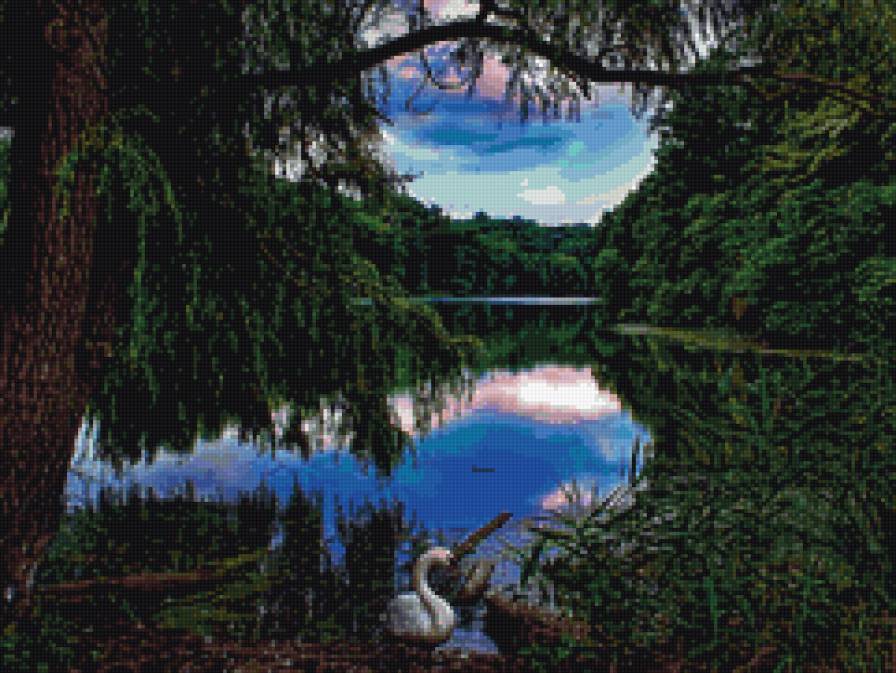 На берегу реки - лес, природа, река, пейзаж, лебедь - предпросмотр