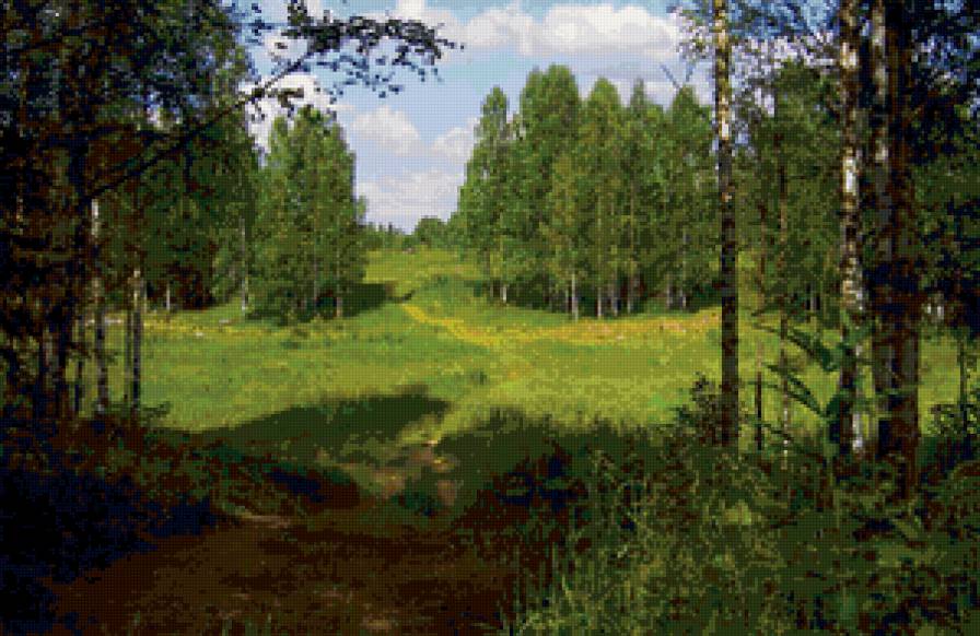 Лесная поляна - лес, поляна, пейзаж, природа - предпросмотр