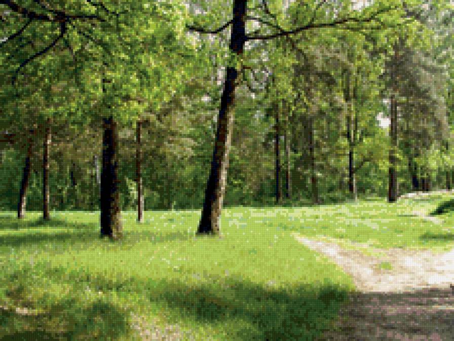 лесная тропа - тропа, лес, природа, пейзаж - предпросмотр