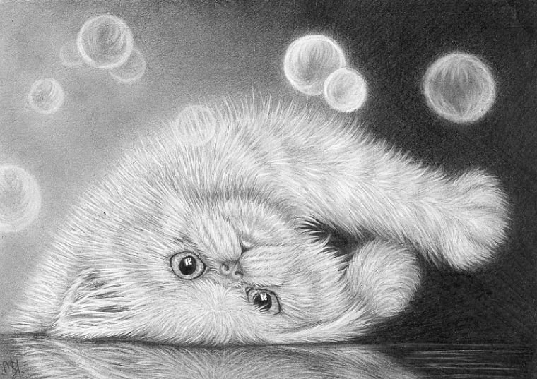 котенок - котик, котенок - оригинал