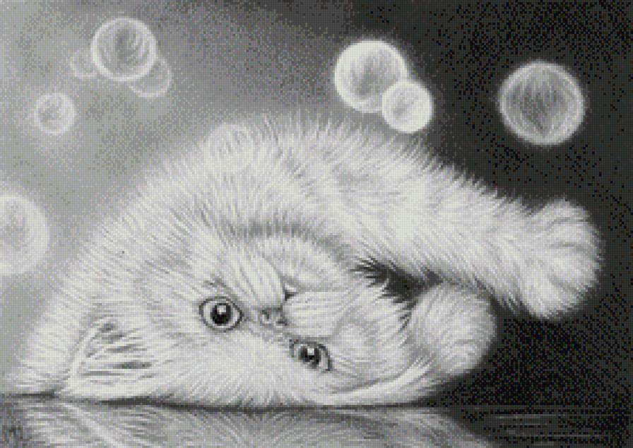 котенок - котенок, котик - предпросмотр