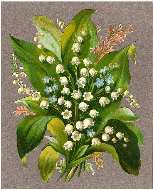 серия "ландыши" - цветы.ландыши. - оригинал