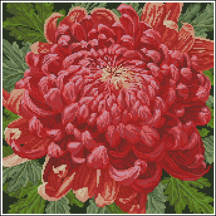 Цветок - цветок - оригинал