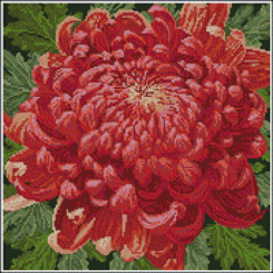 Цветок - цветок - предпросмотр