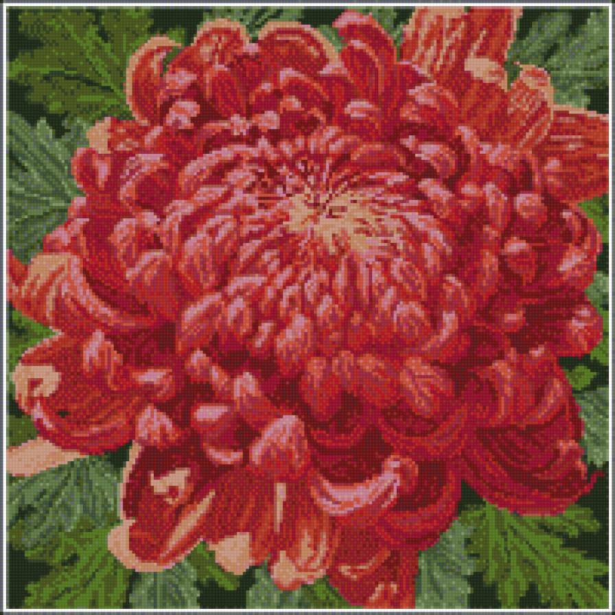 Цветок - цветы - предпросмотр