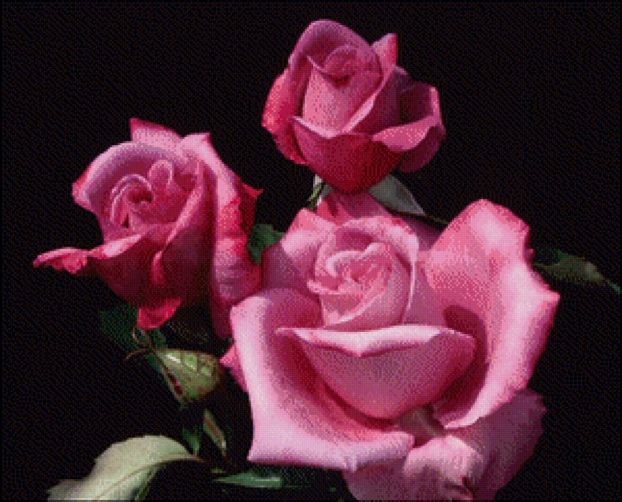 №901682 - предпросмотр