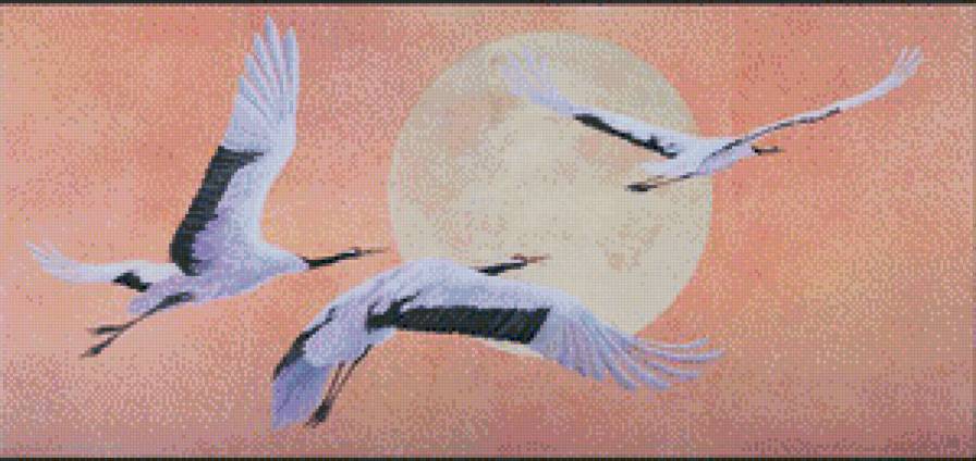 Дальний путь - птицы, природа - предпросмотр