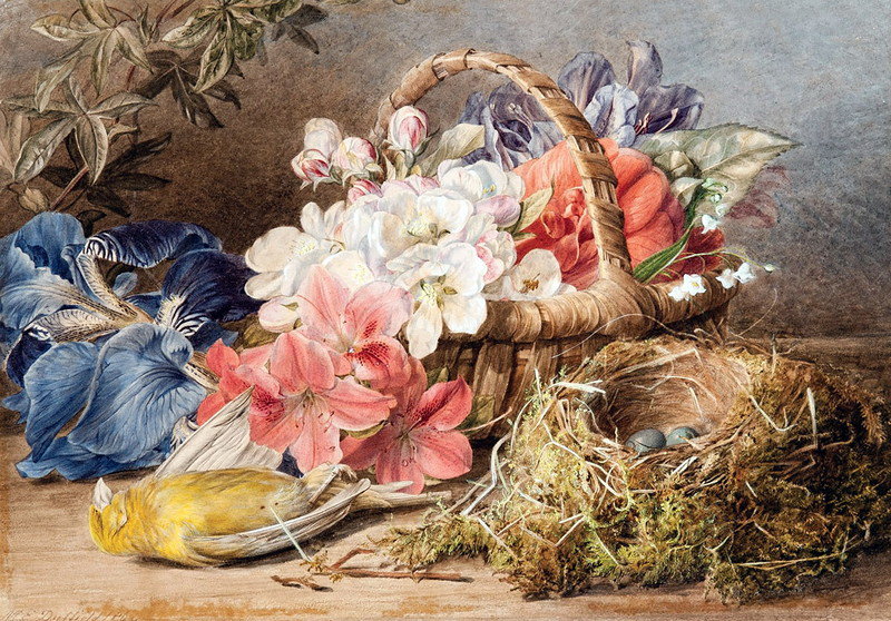 №901921 - цветы - оригинал