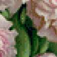 Предпросмотр схемы вышивки «розовые пионы» (№901953)