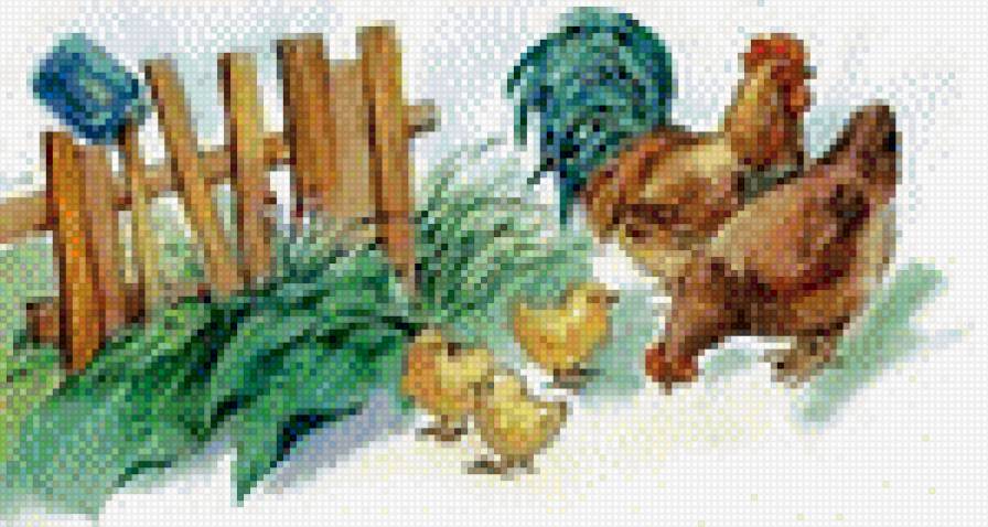 Куриная Семейка - курица, цыплята, деревня, птицы - предпросмотр