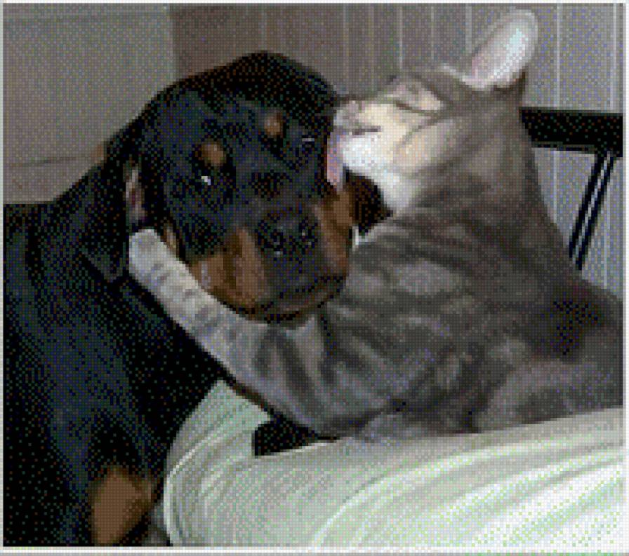 лапушки - норик, кузя - предпросмотр