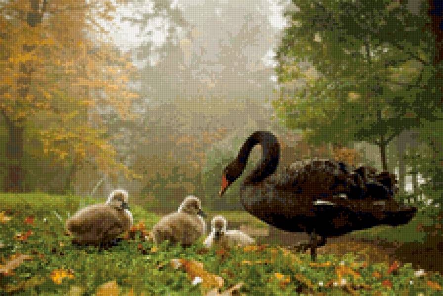 нежность - природа, лебедь. материнство - предпросмотр