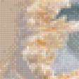 Предпросмотр схемы вышивки «ракушки» (№902562)