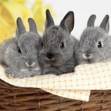 Схема вышивки «кролики»