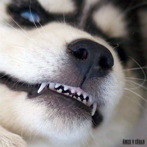 №902607 - оригинал