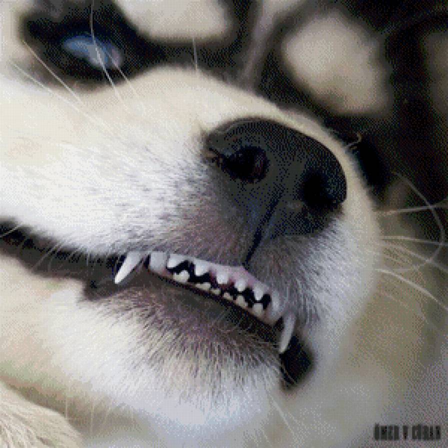 №902607 - предпросмотр