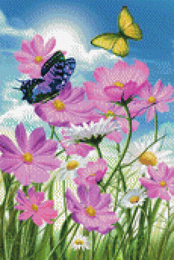 ромашки - предпросмотр