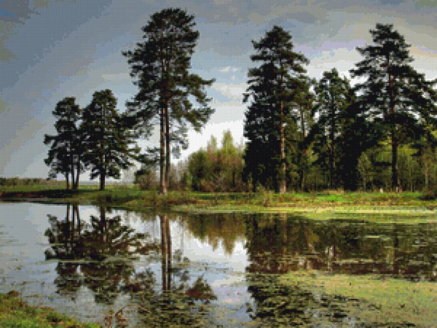 Перед дождем - природа, сосны, пейзаж, хмурое небо, река - предпросмотр