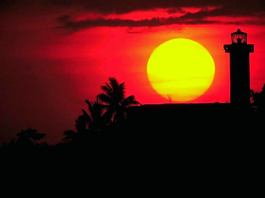 №902870 - оригинал