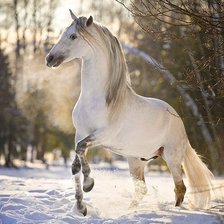 Схема вышивки «Зимний конь»