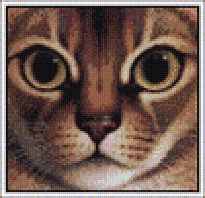 Кот 1 - кот - предпросмотр