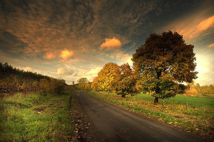 Дорога - природа, пейзаж - оригинал