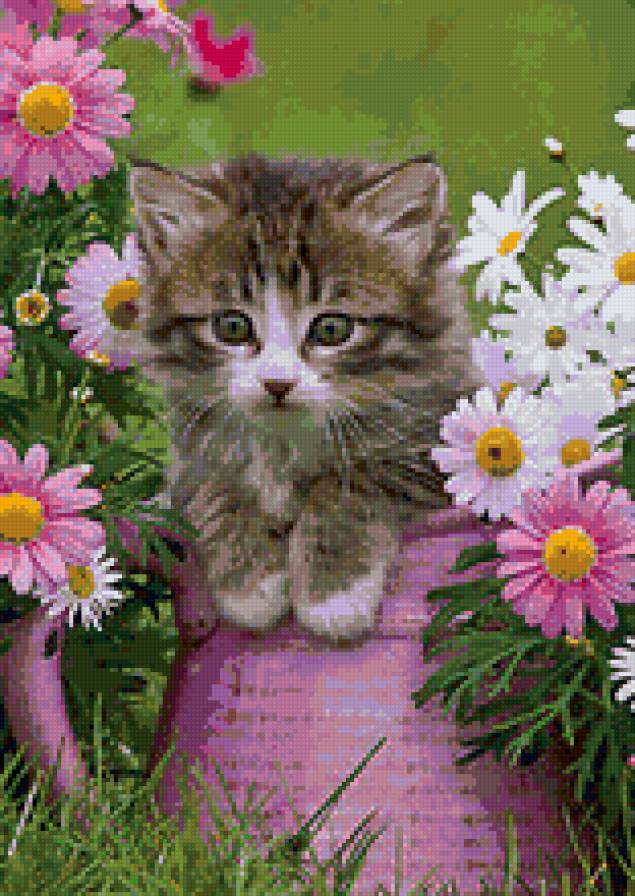 котенок в вазе - животные, котята, цветы, ваза - предпросмотр