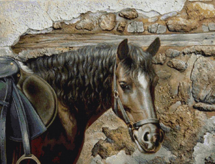 №903178 - предпросмотр