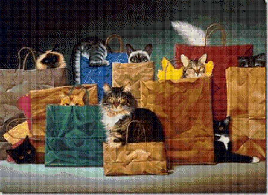 покупки - коты, кот - предпросмотр