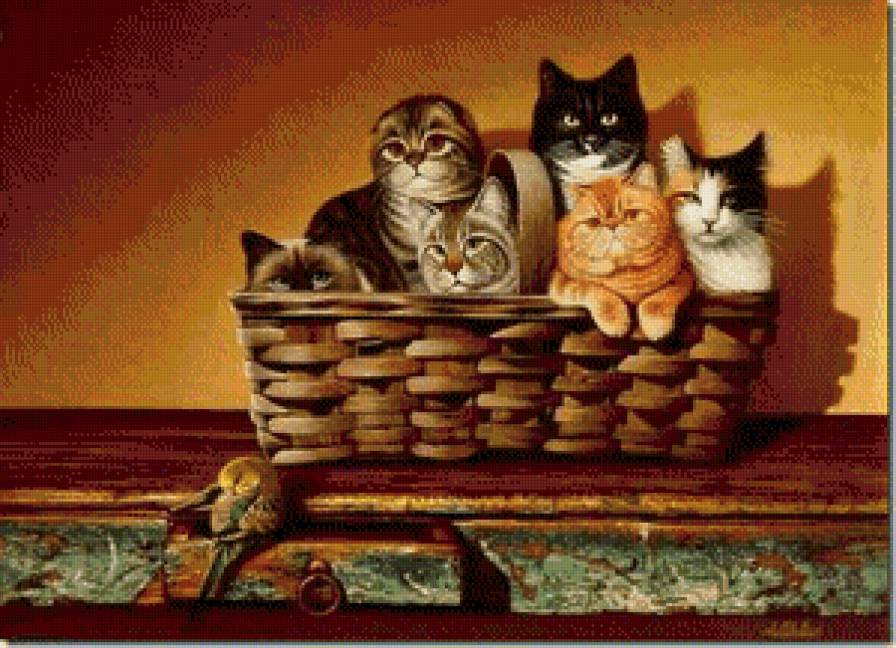 спрятались - коты, кот - предпросмотр