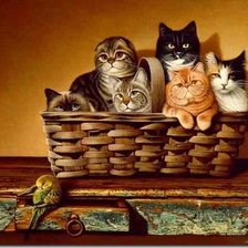 Схема вышивки «спрятались»