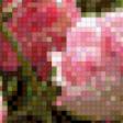 Предпросмотр схемы вышивки «Тюльпаны» (№903273)