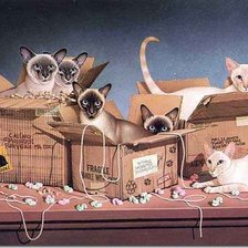 Схема вышивки «посылки»