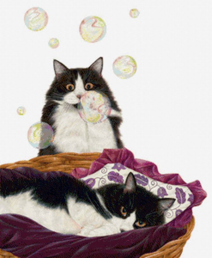 сладкая парочка - коты, кот - предпросмотр