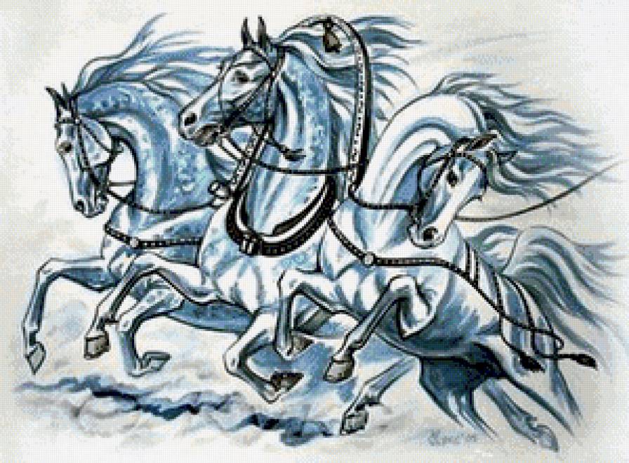 Тройка - конь, жеребец, животные, лошадь - предпросмотр