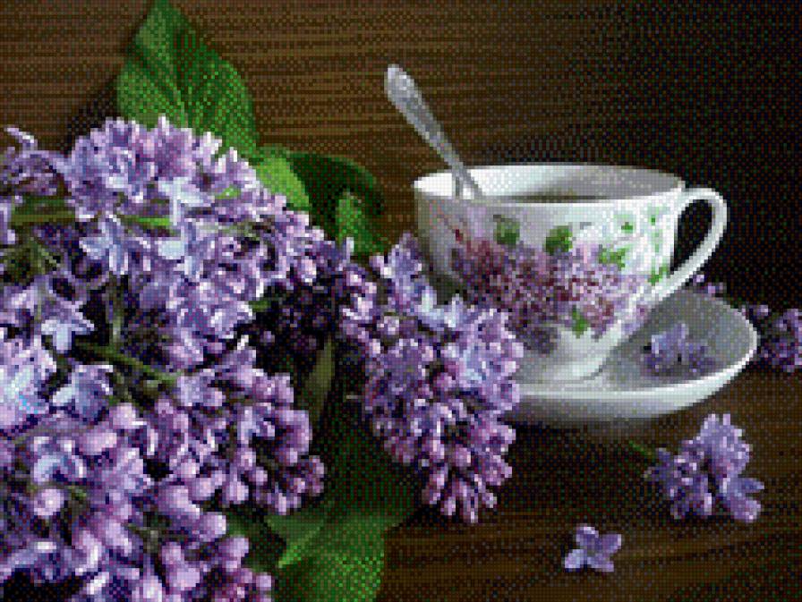 сирень - предпросмотр