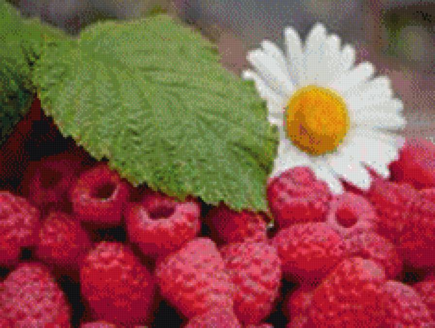 малина - цветы, ягоды, натюрморт - предпросмотр