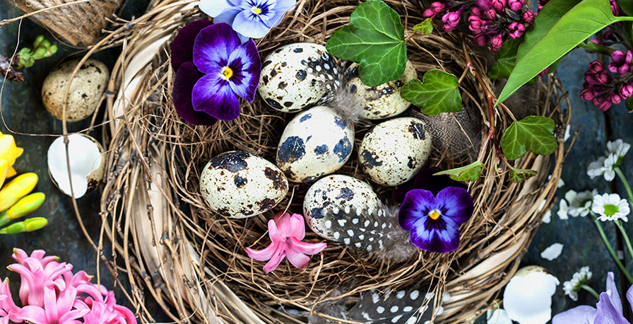 Пасхальный мотив - натюрморт, пасха - оригинал