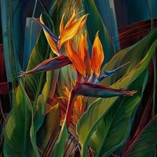 Схема вышивки «№903871»